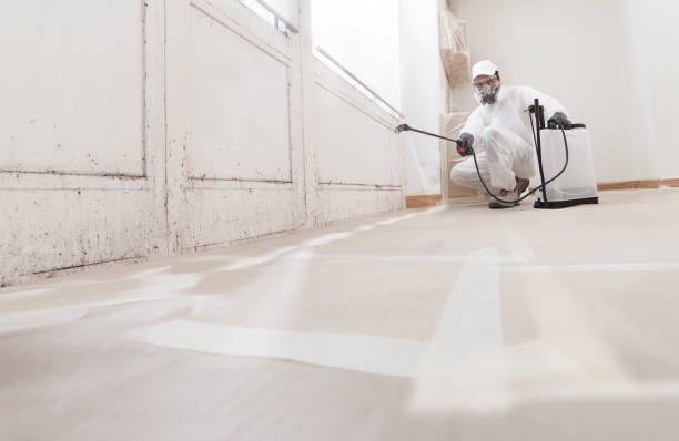 24/7 Emergency Mold Remediation experts in Rixeyville, VA