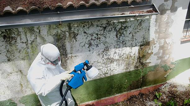 Top rated local Mold Remediation specialists in Rixeyville, VA